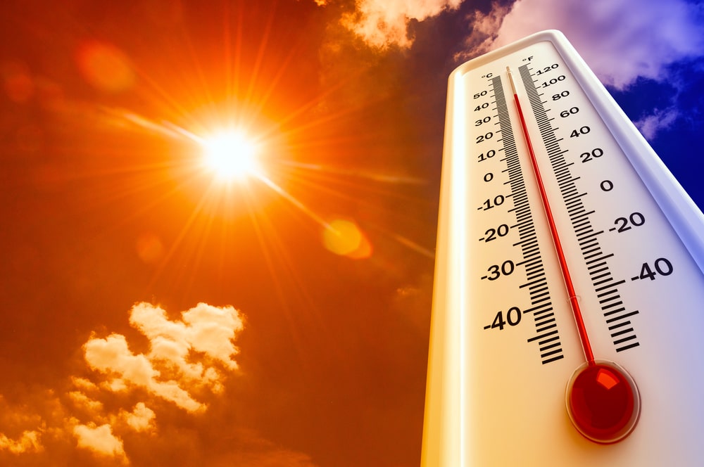 Understanding the Importance of Temperature Monitoring